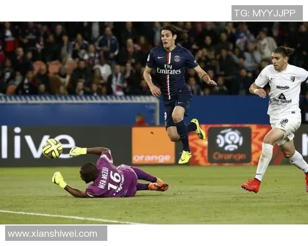 法甲2014赛季梅斯主场迎战尼斯精彩对决回顾与分析