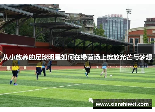 从小放养的足球明星如何在绿茵场上绽放光芒与梦想